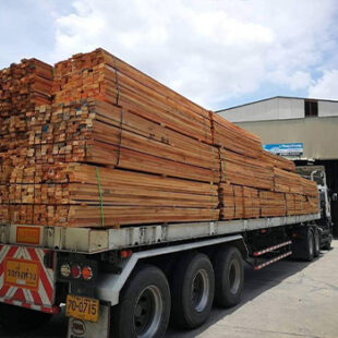 ไม้หน้าสาม