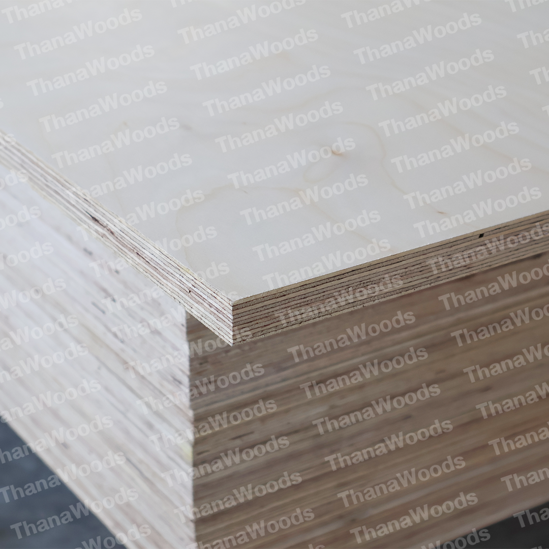 ไม้อัด BIRCH PLYWOOD - Image 12