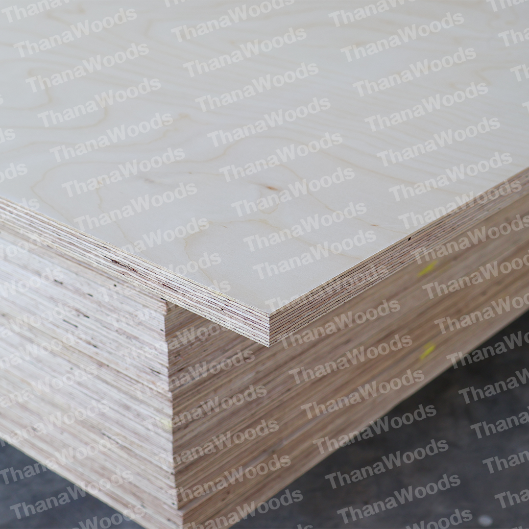 ไม้อัด BIRCH PLYWOOD - Image 13
