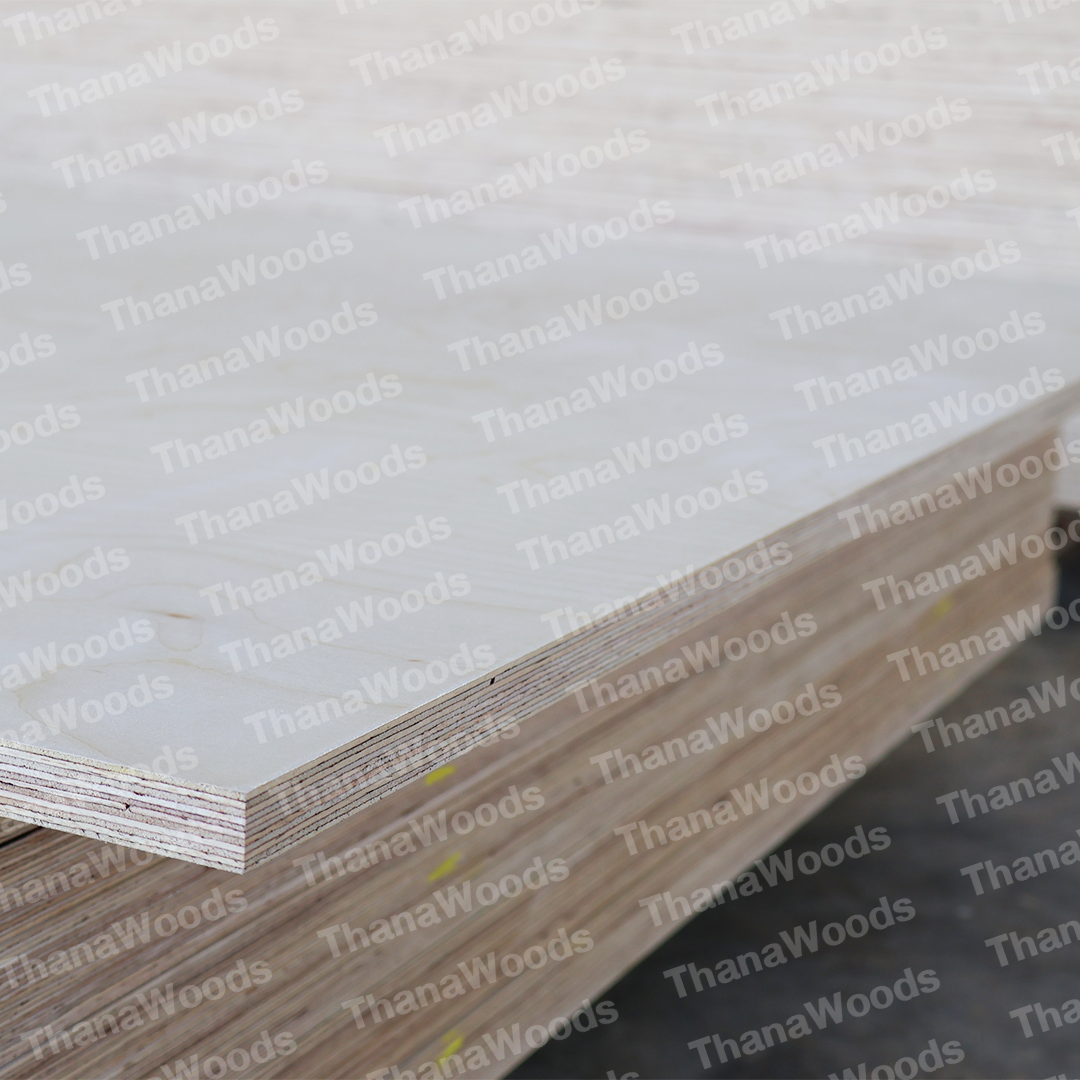ไม้อัด BIRCH PLYWOOD - Image 14
