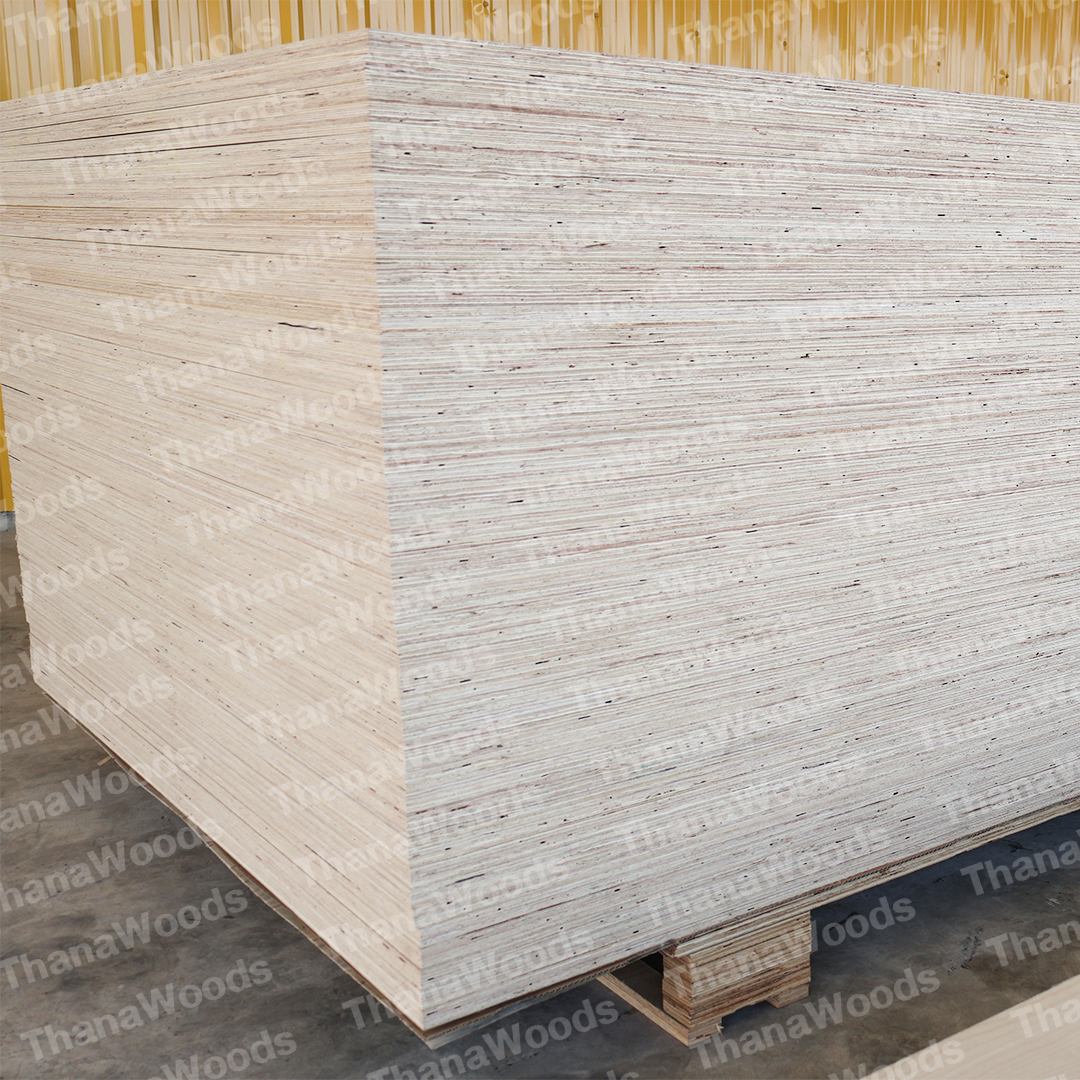 ไม้อัด BIRCH PLYWOOD - Image 15