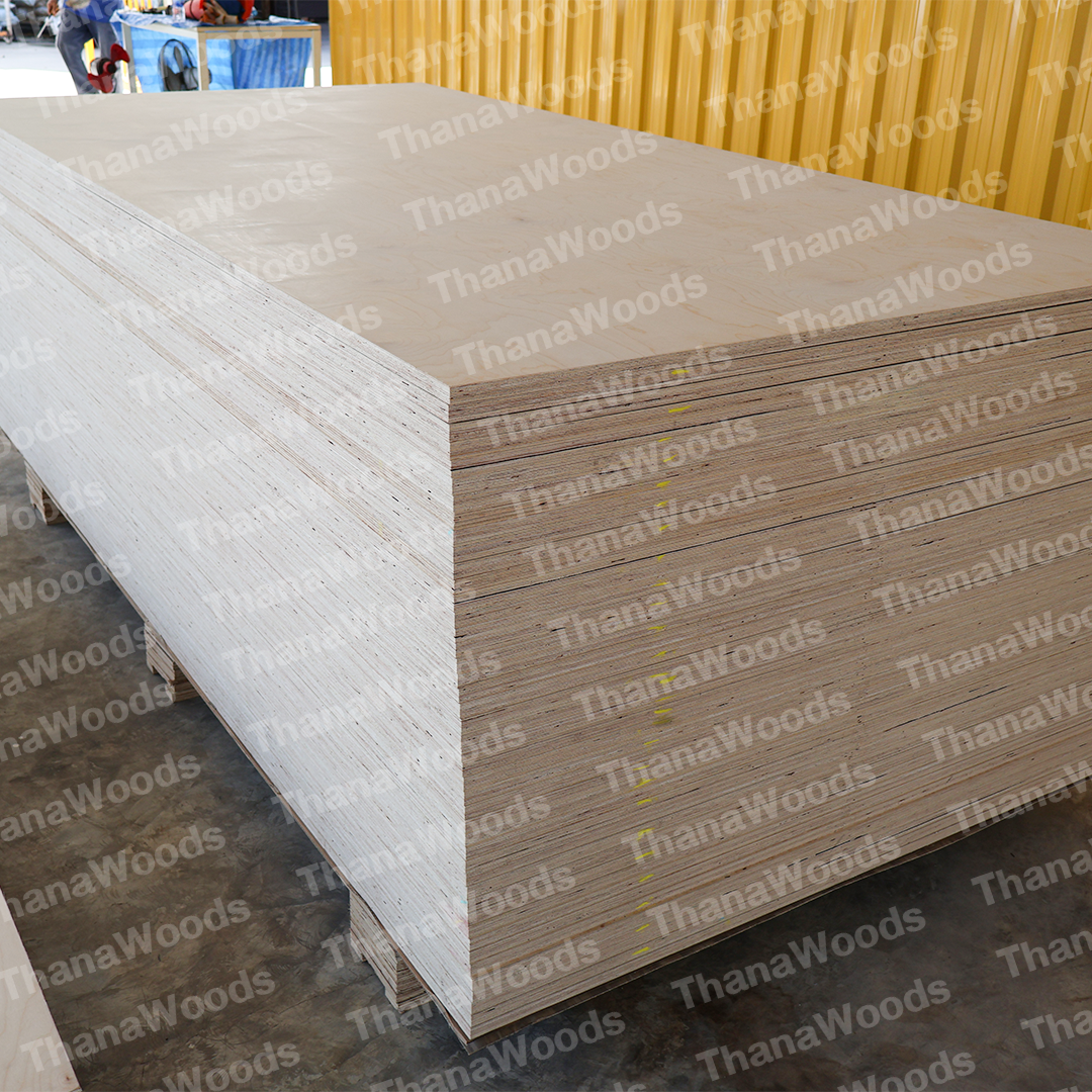 ไม้อัด BIRCH PLYWOOD - Image 16
