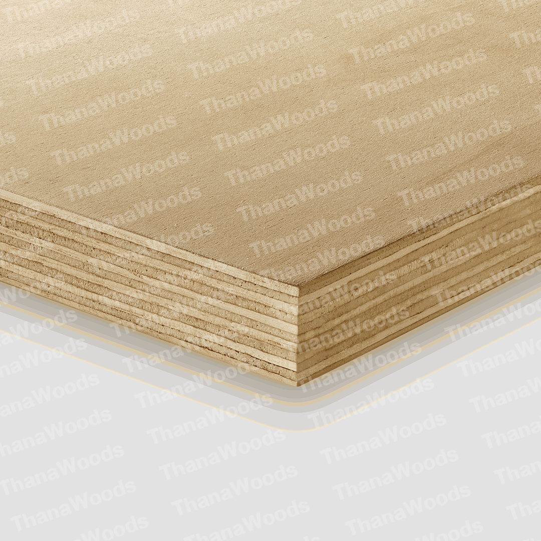 ไม้อัด BIRCH PLYWOOD - Image 19