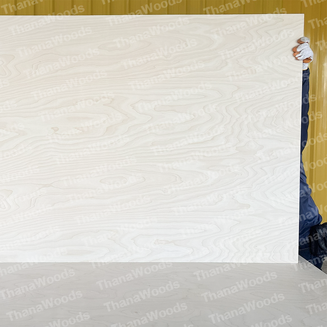 ไม้อัด BIRCH PLYWOOD - Image 4