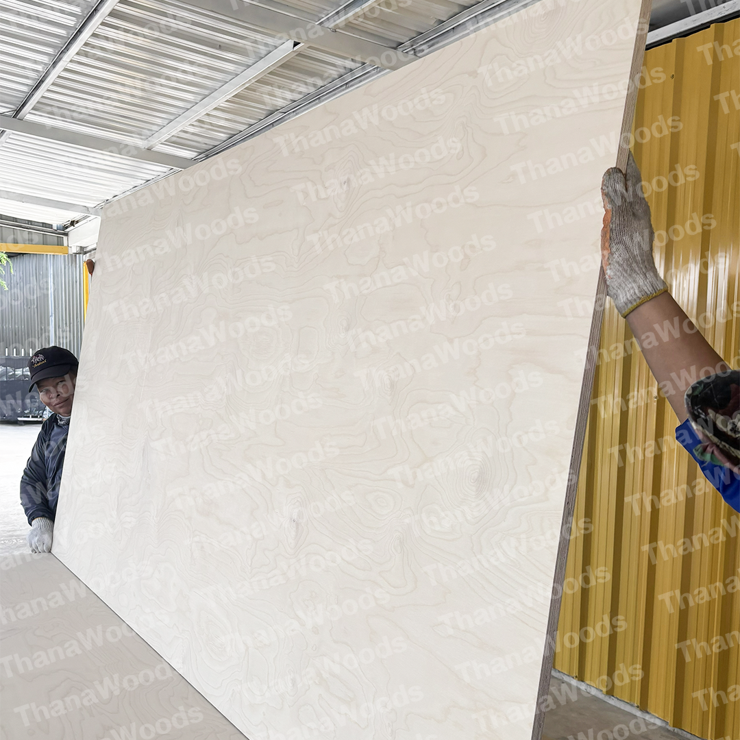 ไม้อัด BIRCH PLYWOOD - Image 7